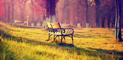 网页版呼叫在线轰炸电话